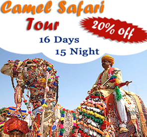 Camel Safari Tour, Rajasthan